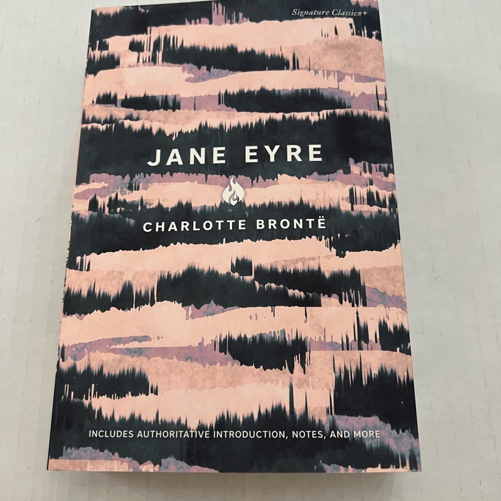🍉Any books 2/$12 EXCELLENT condition Jane Eyre by Charlotte Bronte paperback